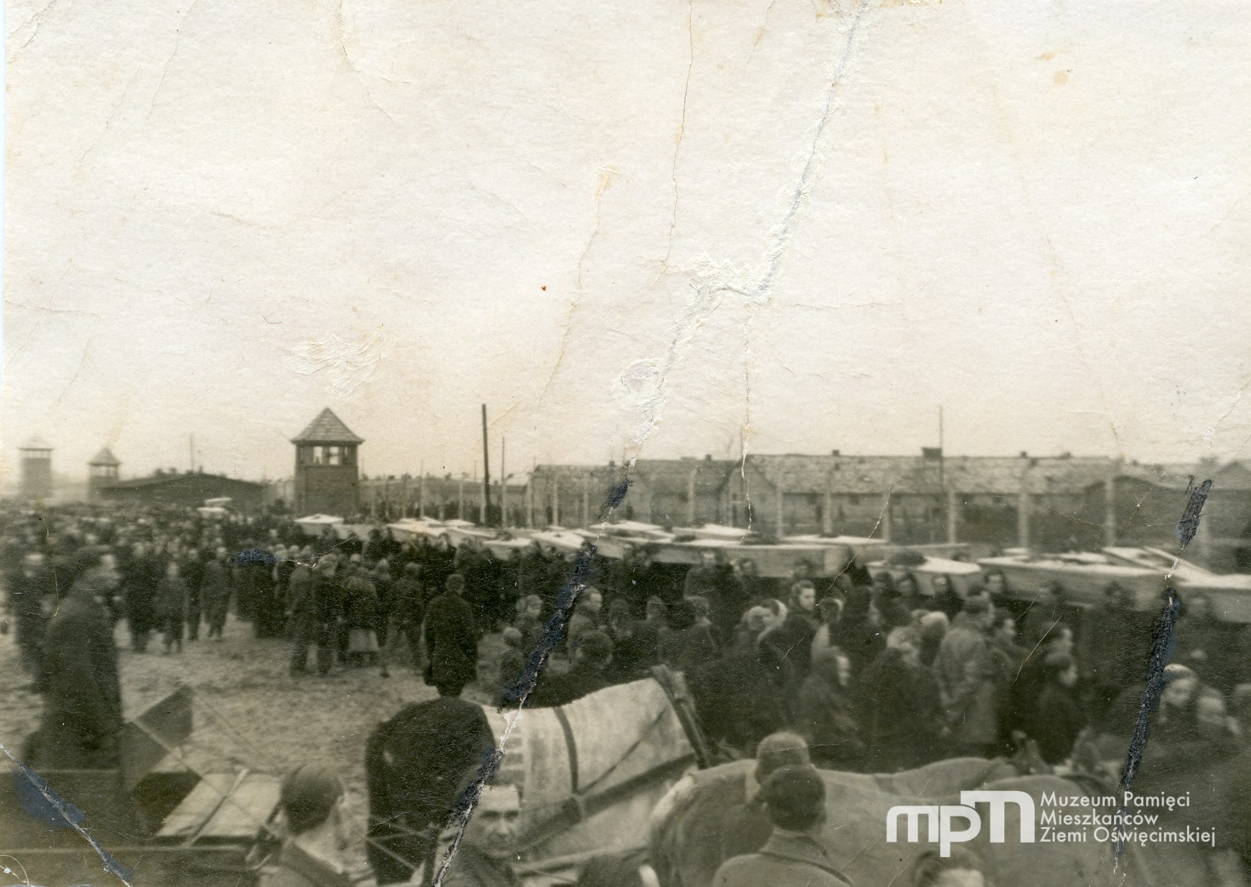 28 lutego 1945 r. Kondukt pogrzebowy z trumnami wyrusza z terenu byłego KL Birkenau
Zbiory Muzeum Pamięci Mieszkańców Ziemi Oświęcimskiej/Dar Elżbiety Baran